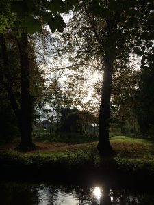 morgenstimmung